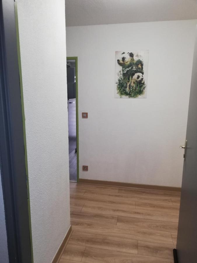 Grand T3 Avec Clim, Parking Et Terrasse Privative - Agen Daire Dış mekan fotoğraf
