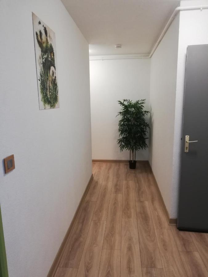 Grand T3 Avec Clim, Parking Et Terrasse Privative - Agen Daire Dış mekan fotoğraf